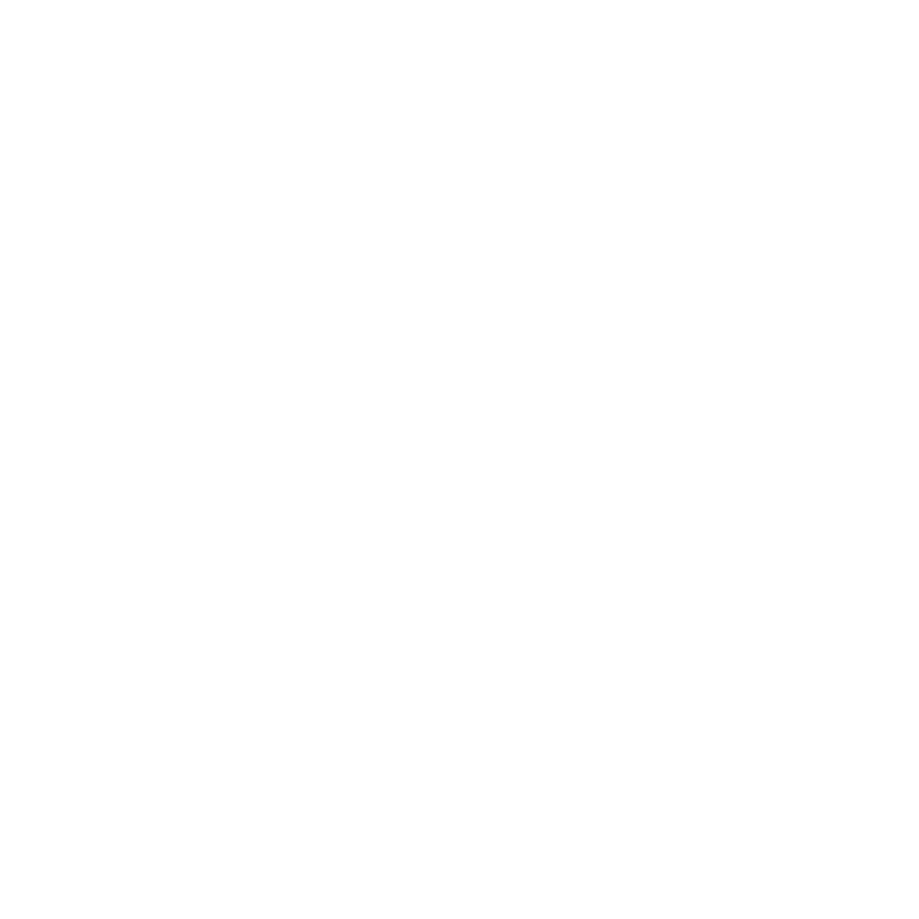TechlifyWorks Loading Animation